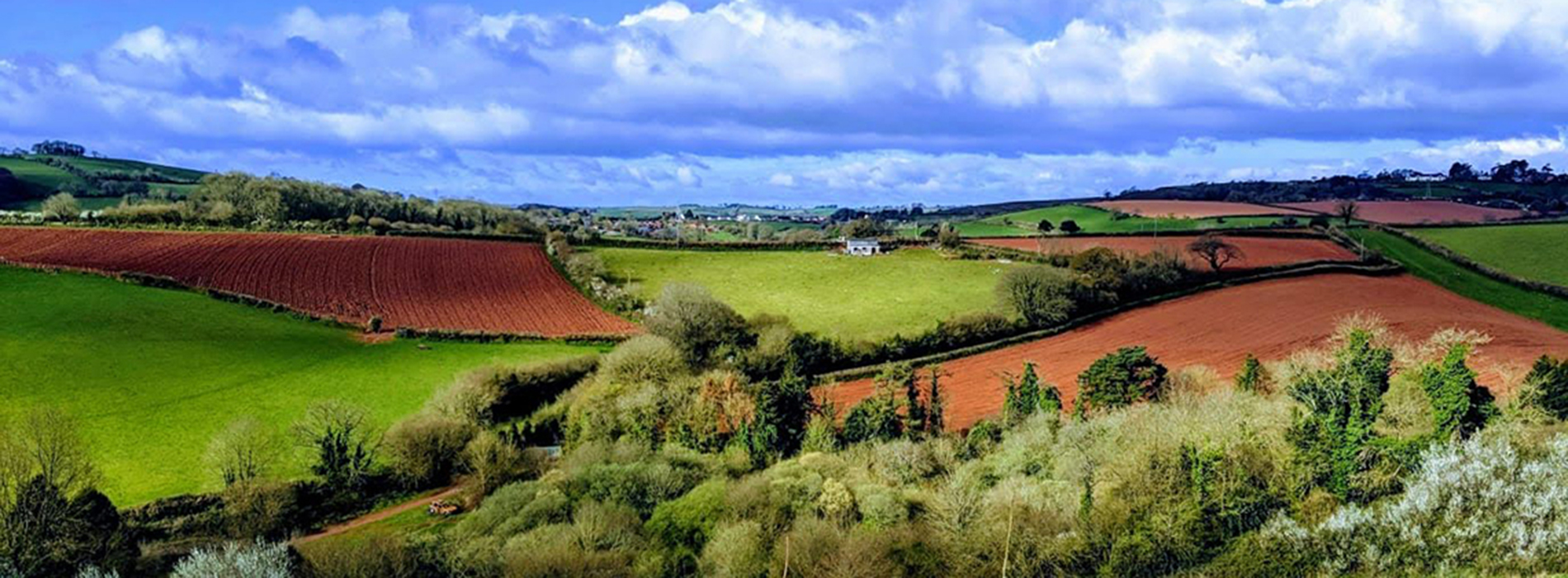 Westerland Valley Country Park