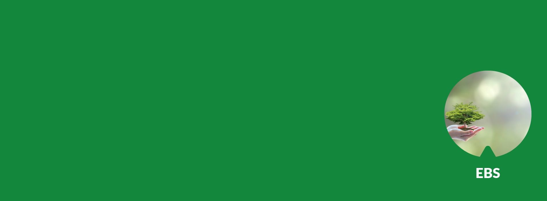 Environmental Business Services