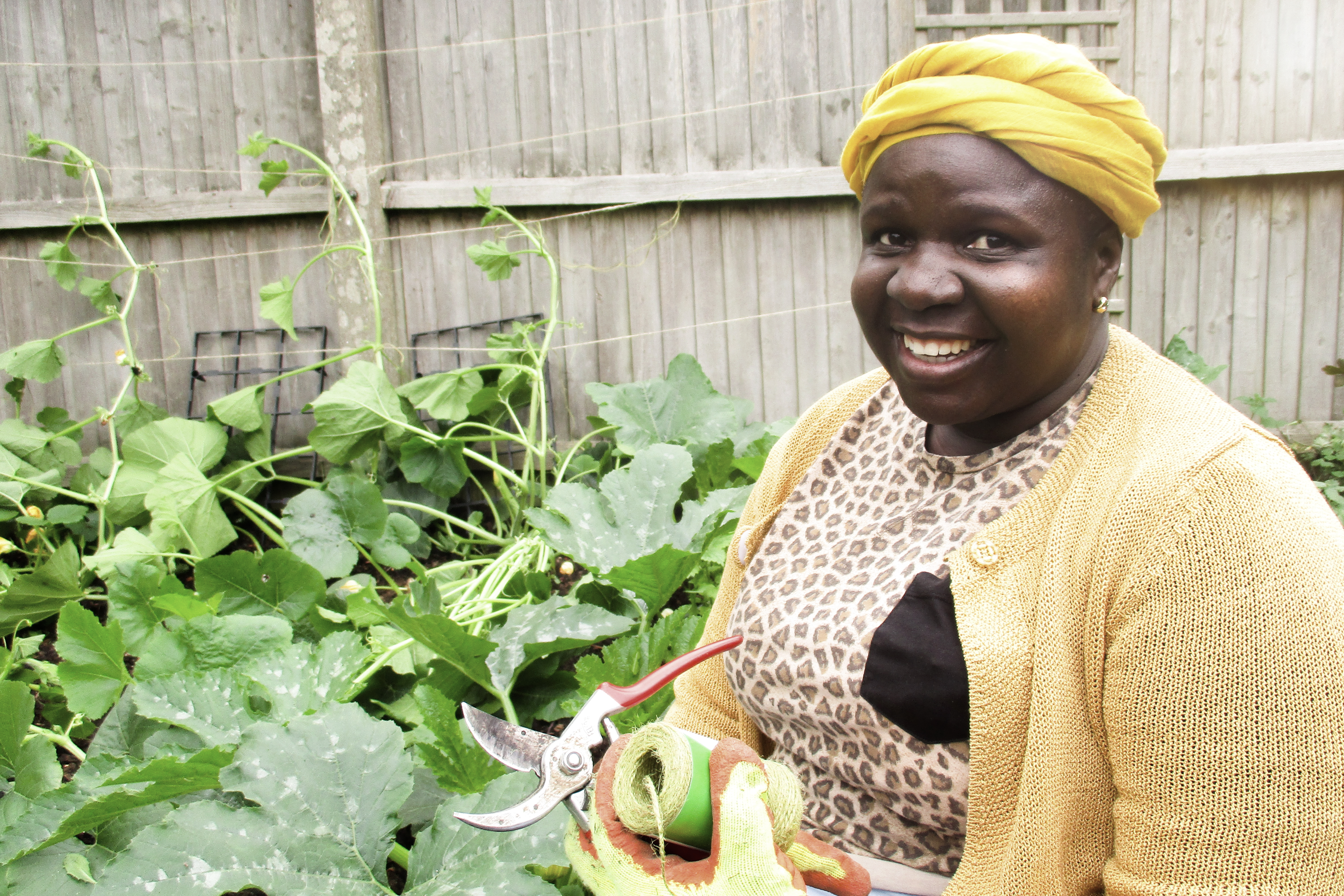 Climate justice through greenspace access