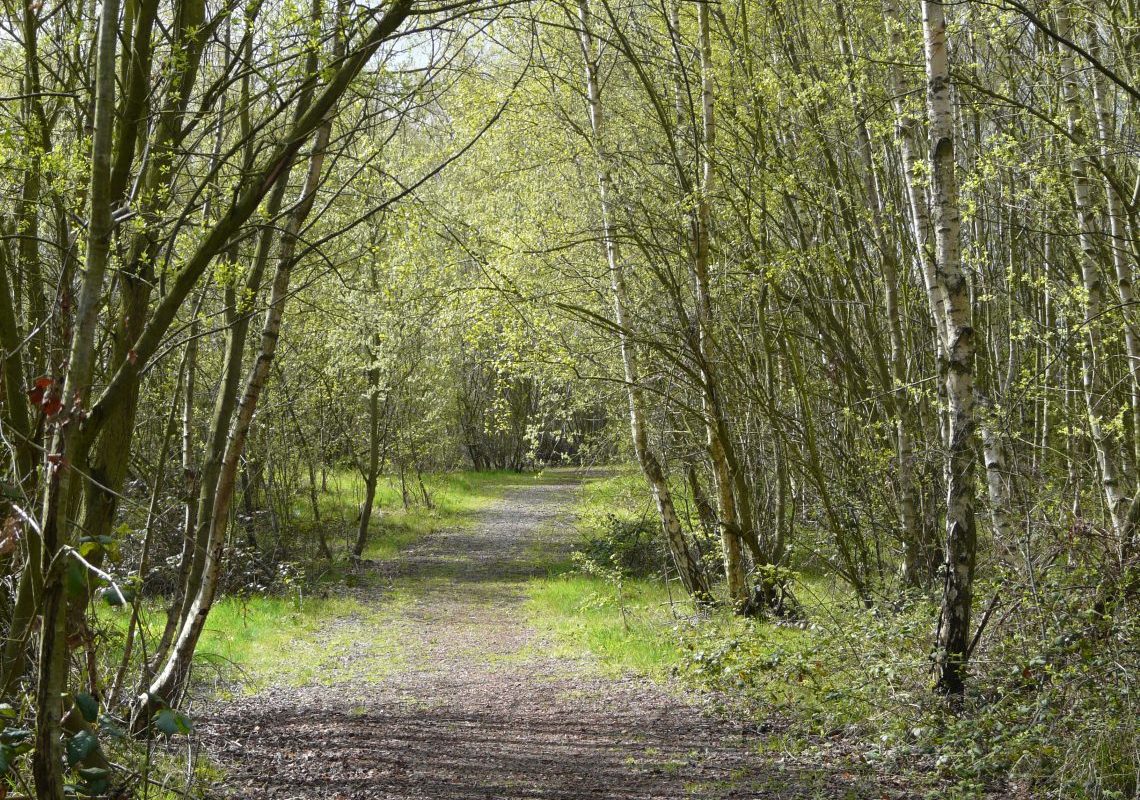 Fryston Country Trails