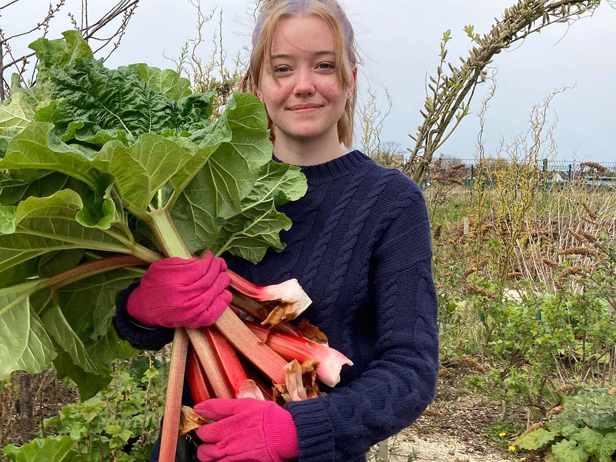 Harvesting crops at Grow Blackpool