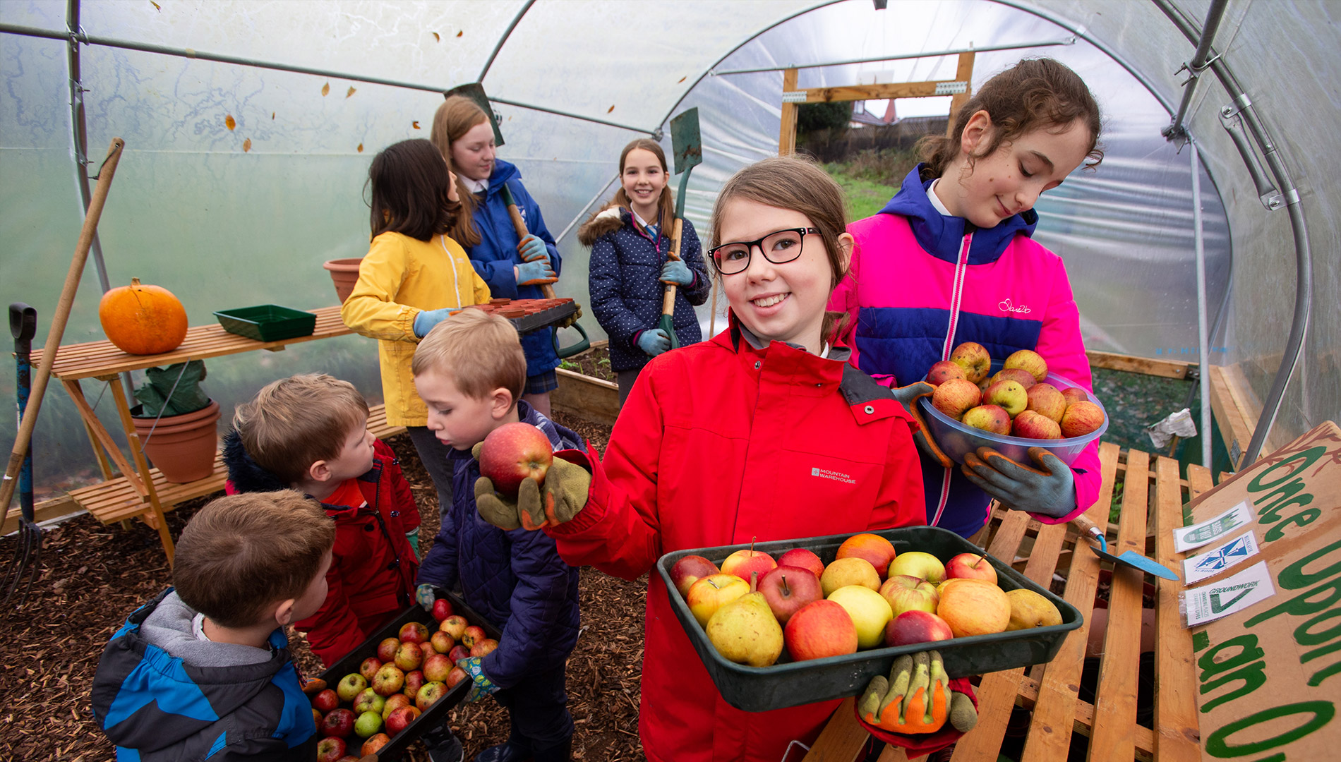 Top tips for growing in schools