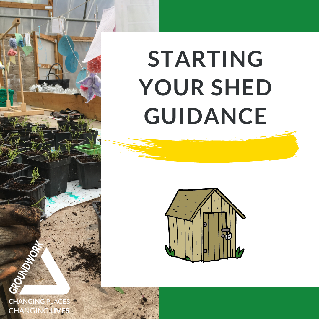 Starting your Shed Guidance