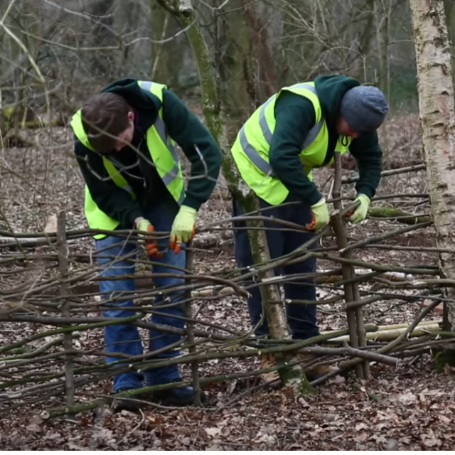 Panshanger Park and the Green Team