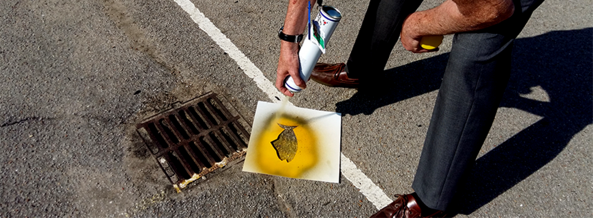 Yellow Fish in Felixstowe, Lowestoft, and Woodbridge