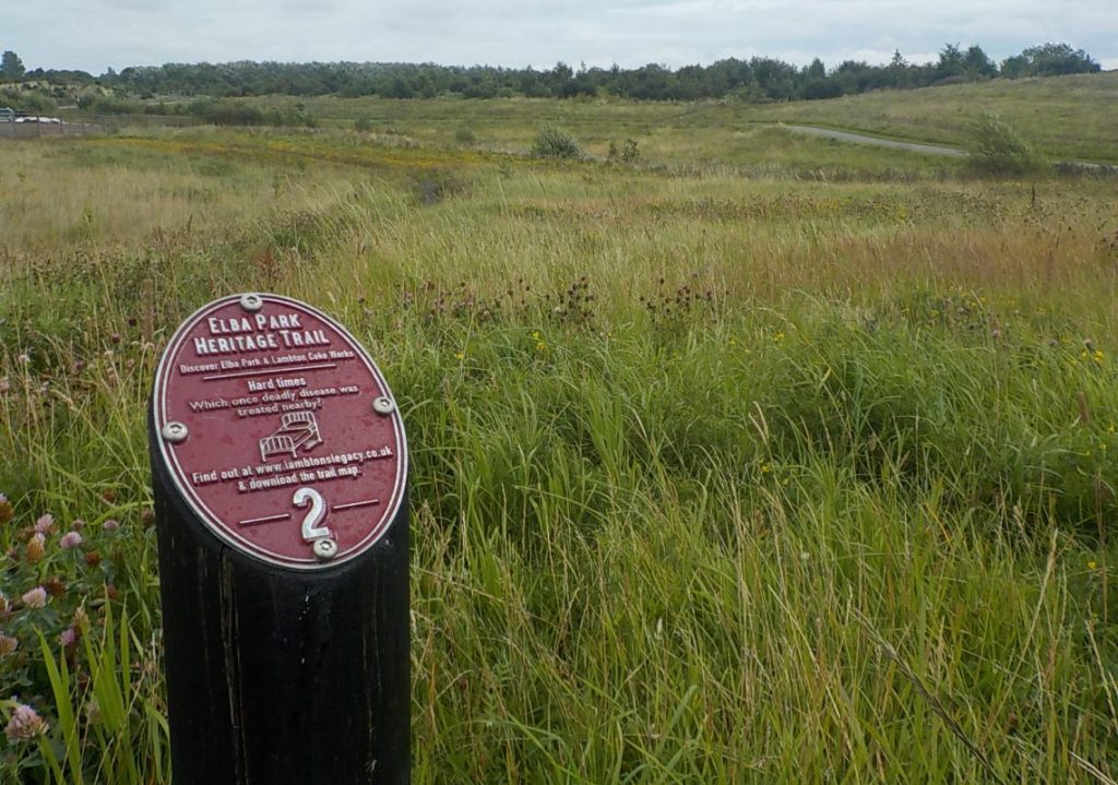 Scene of Elba Park