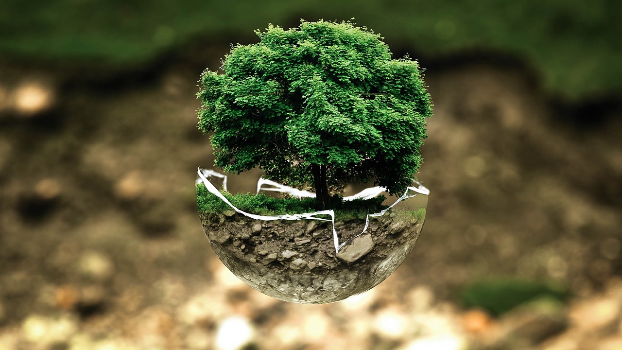 Report recognises Council’s climate change efforts