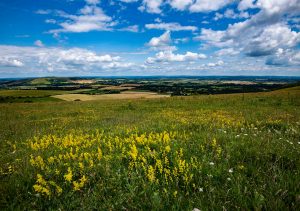 Combe Valley Countryside Park