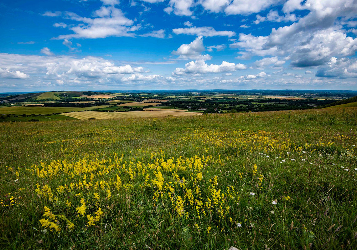 Combe Valley Countryside Park