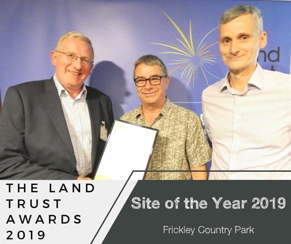 Site of the year awards 2019