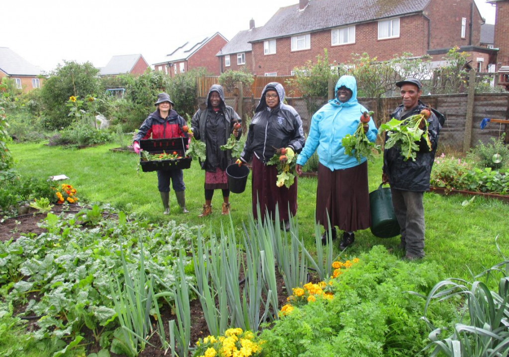 Watford Sprouting Out