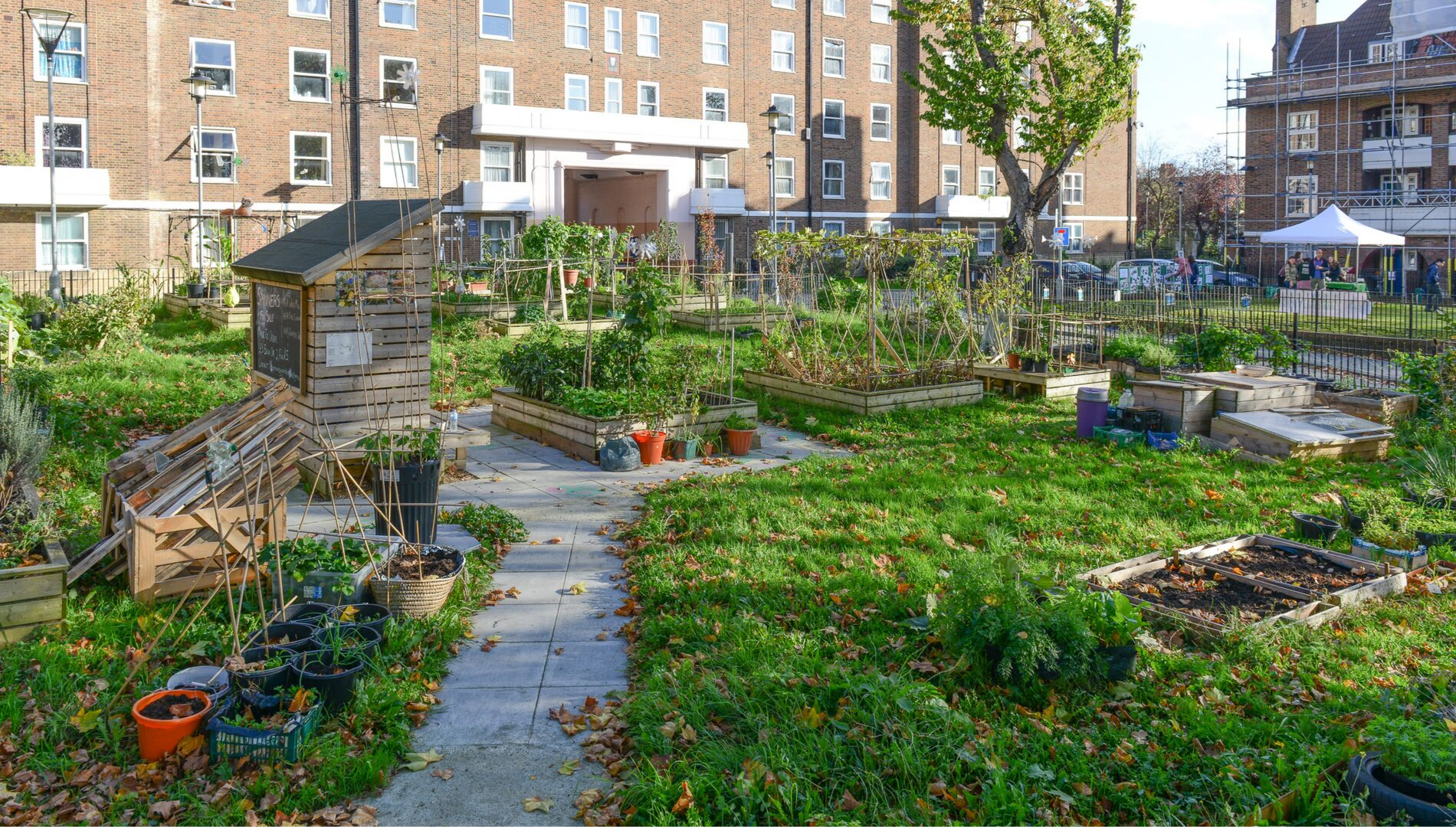 Community Food Growing Hubs