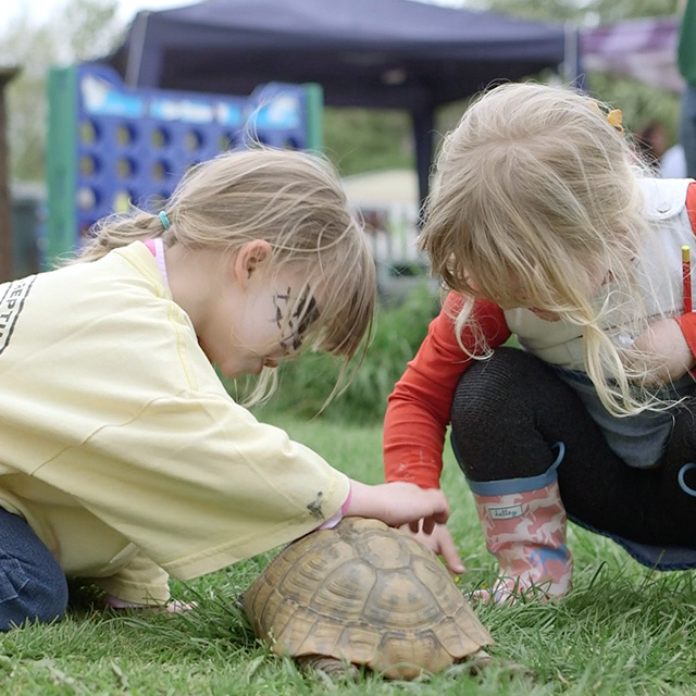 Two girls petting tortoise at Green Patch project