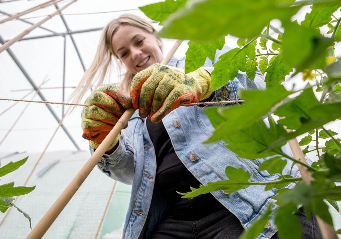 Heathrow Community Grants