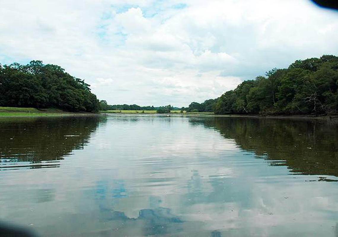 East Hampshire Catchment Partnership