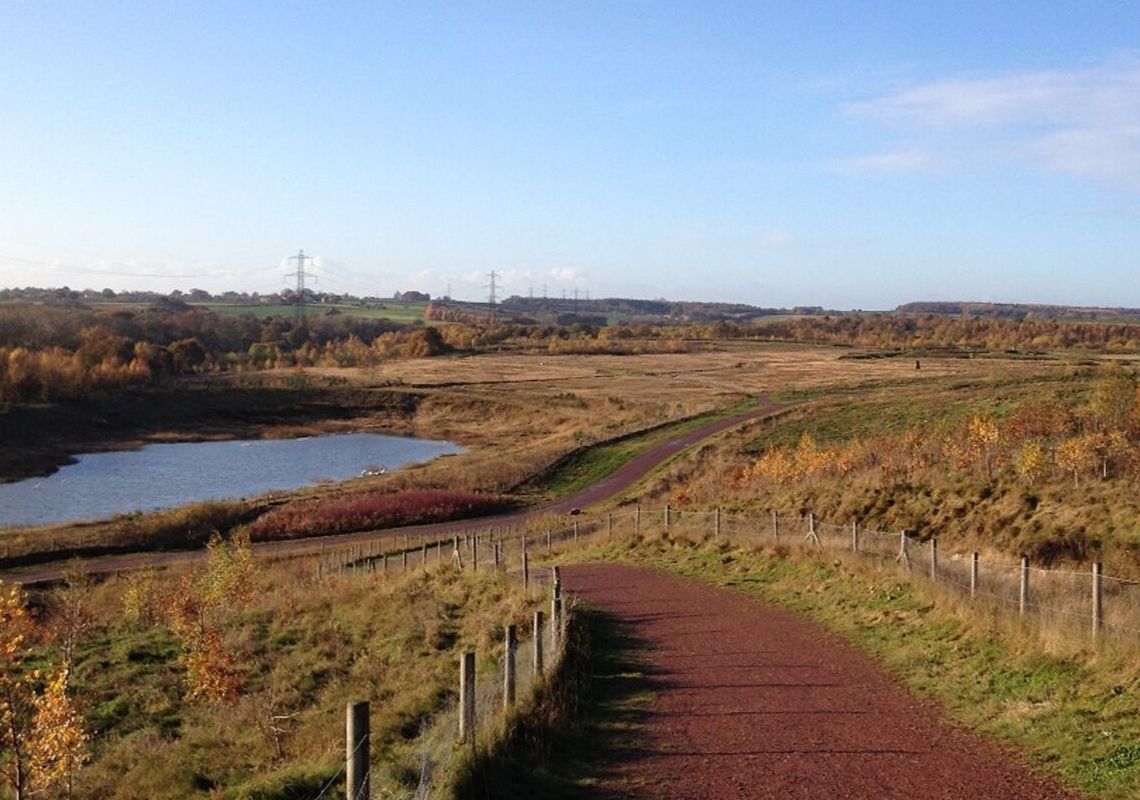 Frickley Country Park