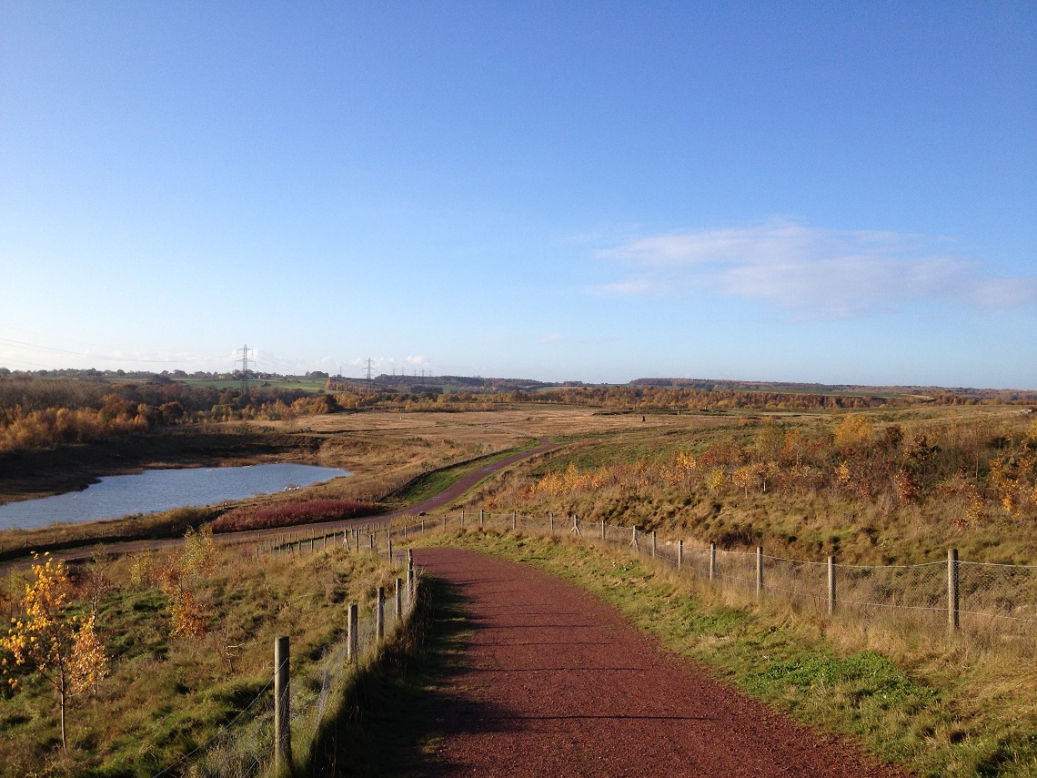 Frickley Country Park