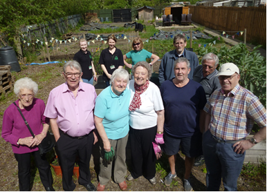 Green Links Tees on an allotment