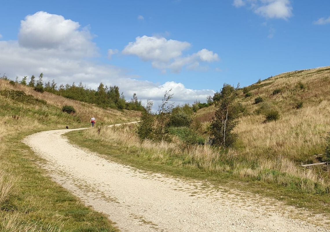 Rabbit Ings Country park