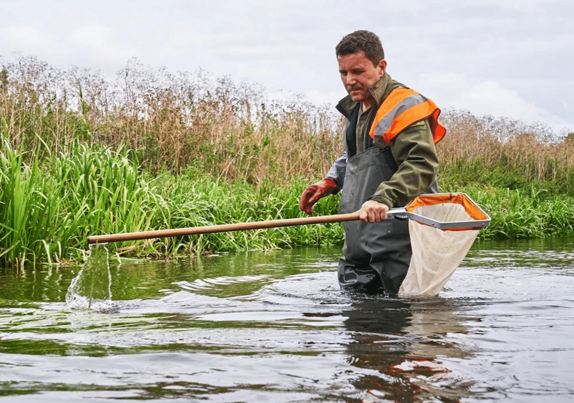 Rediscovering the River Colne