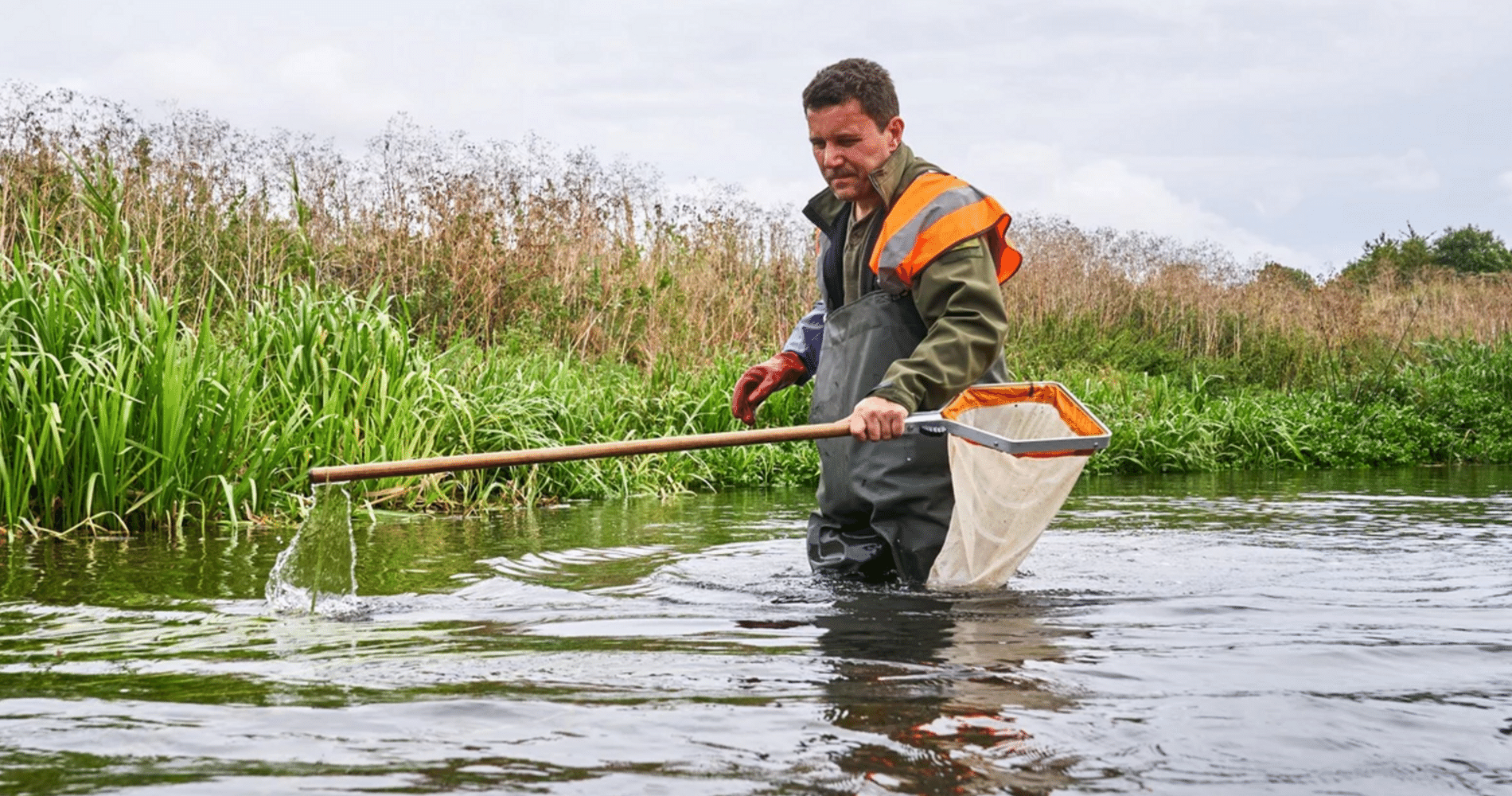 Rediscovering the River Colne