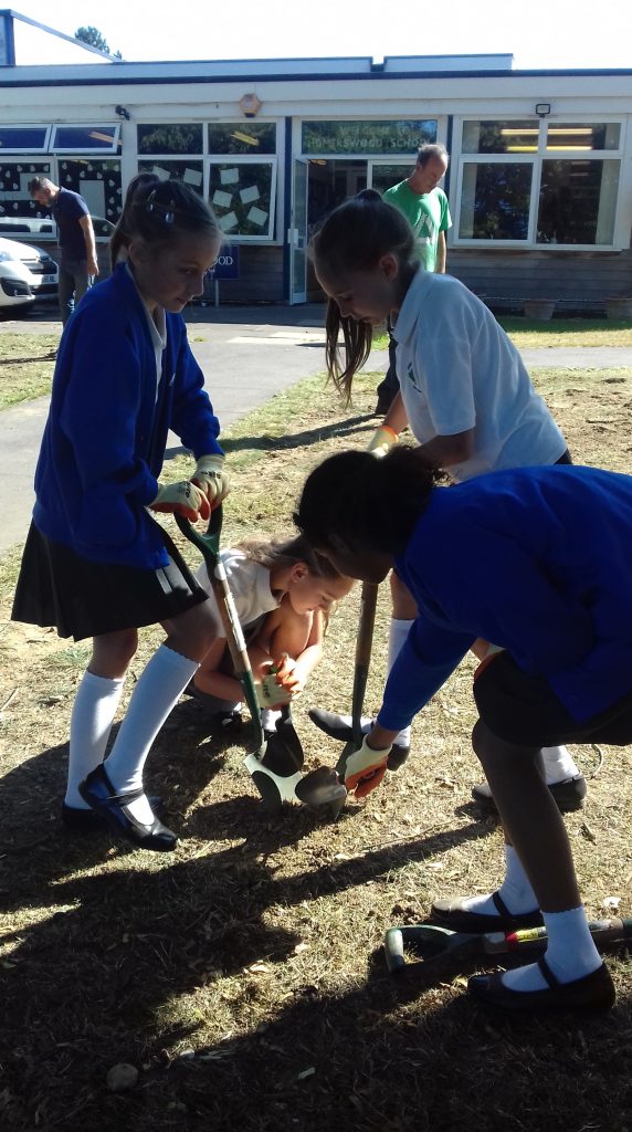 Homerswood Primary