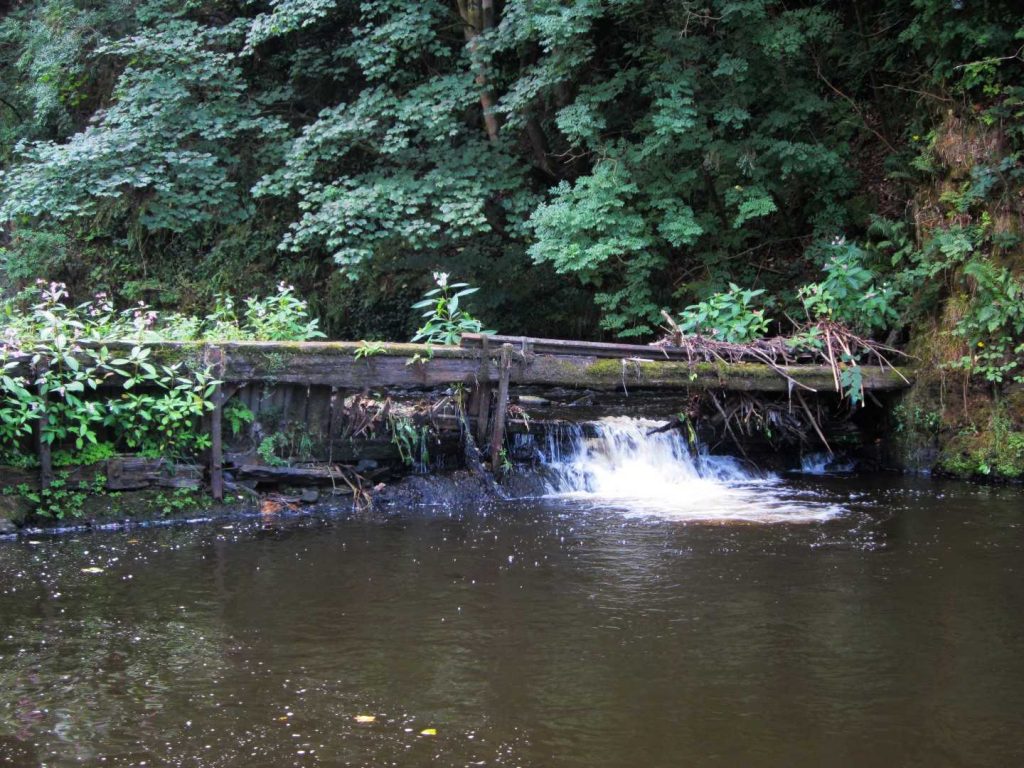 Eagley Brook - Before