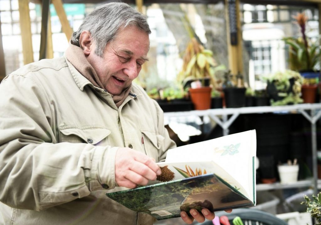 Old man reading a gardening book