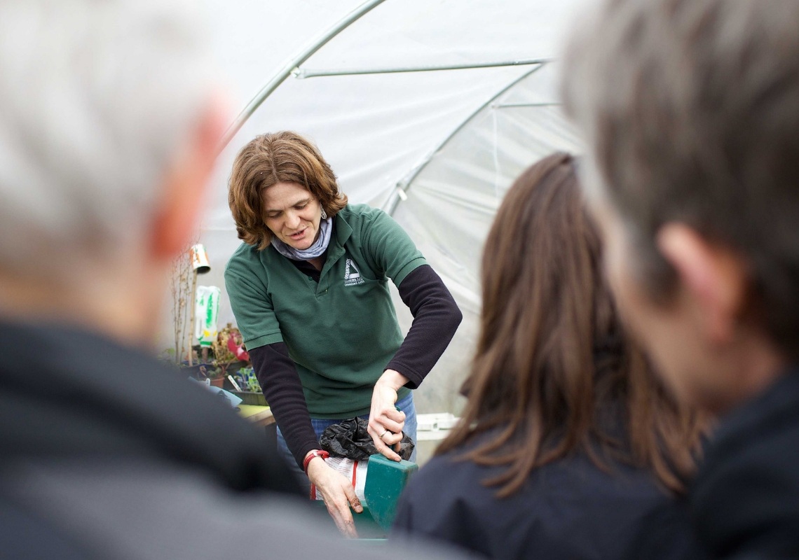 Go Green Hattersley: Connecting Communities in Tameside with Nature