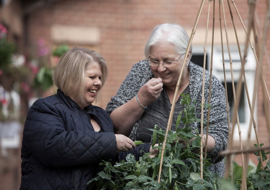 Two older women gardening