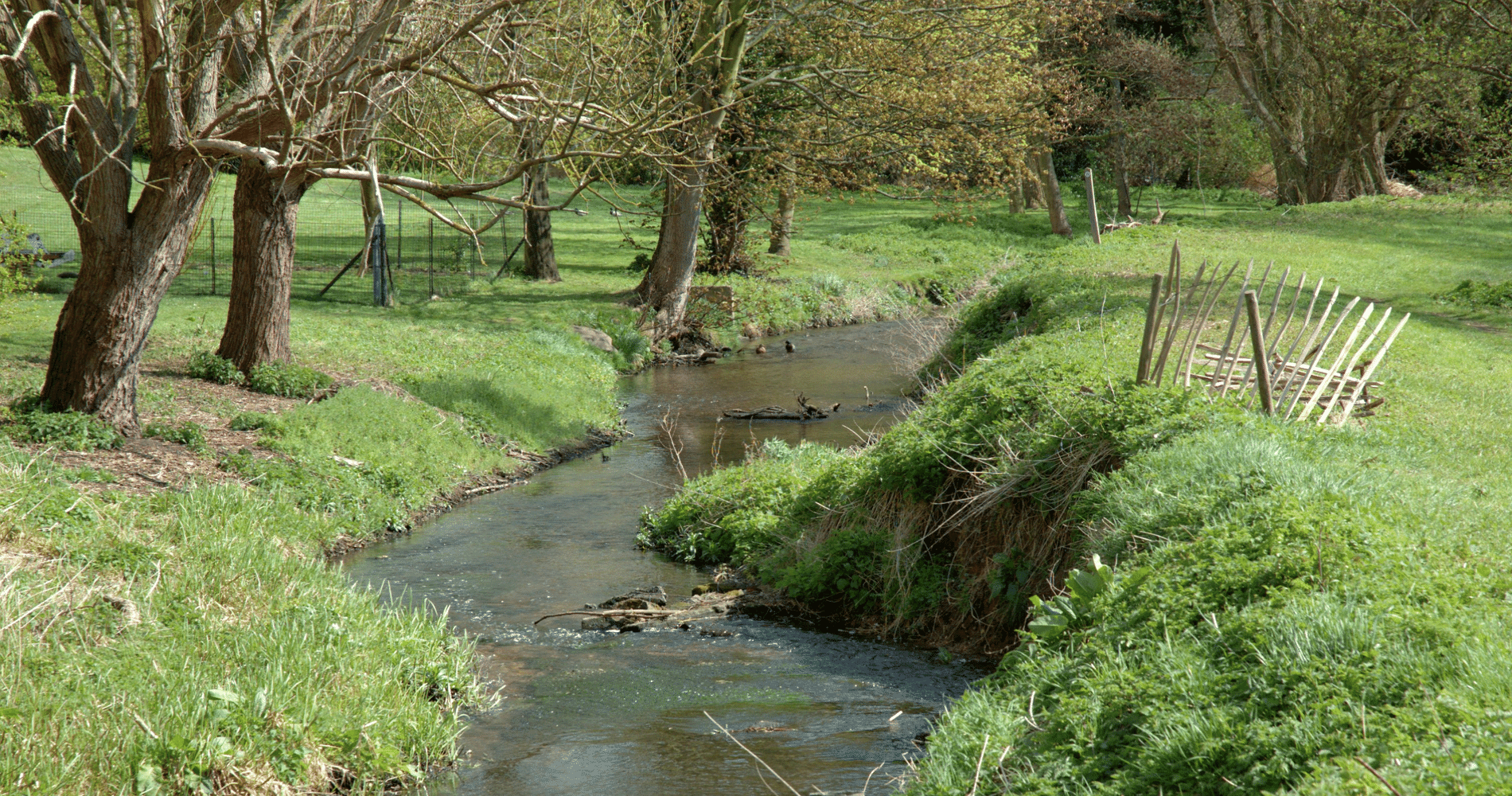 River Ver Junior River Wardens