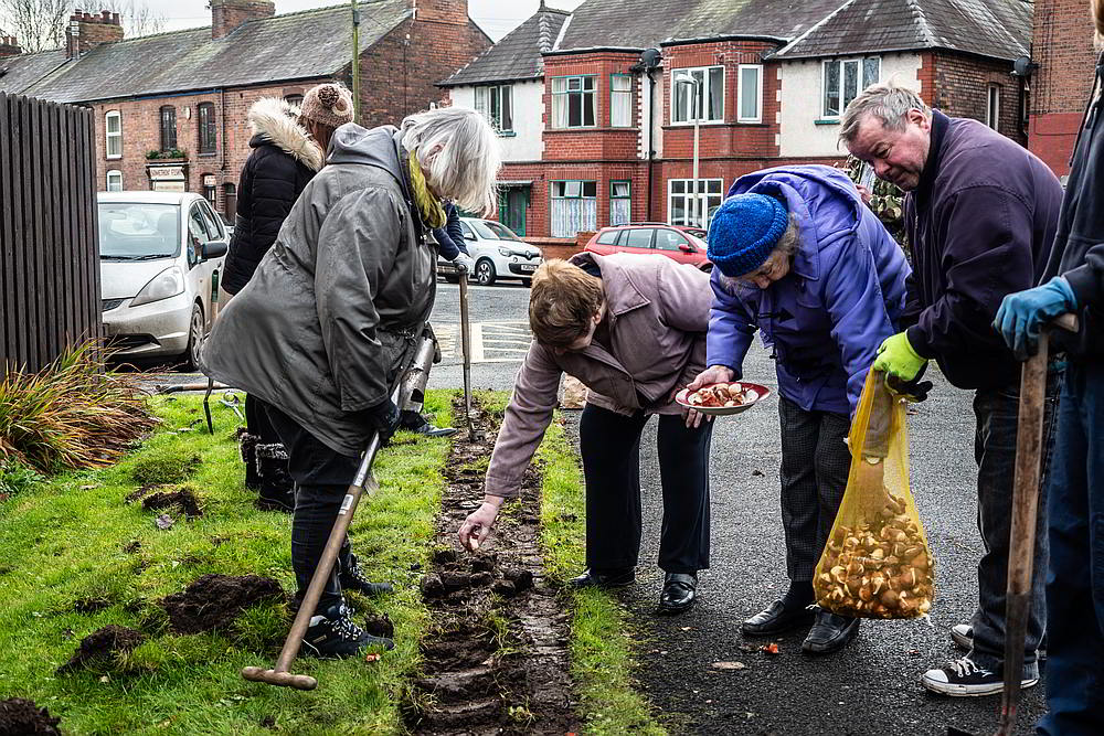 People planting bulbs in Northwich