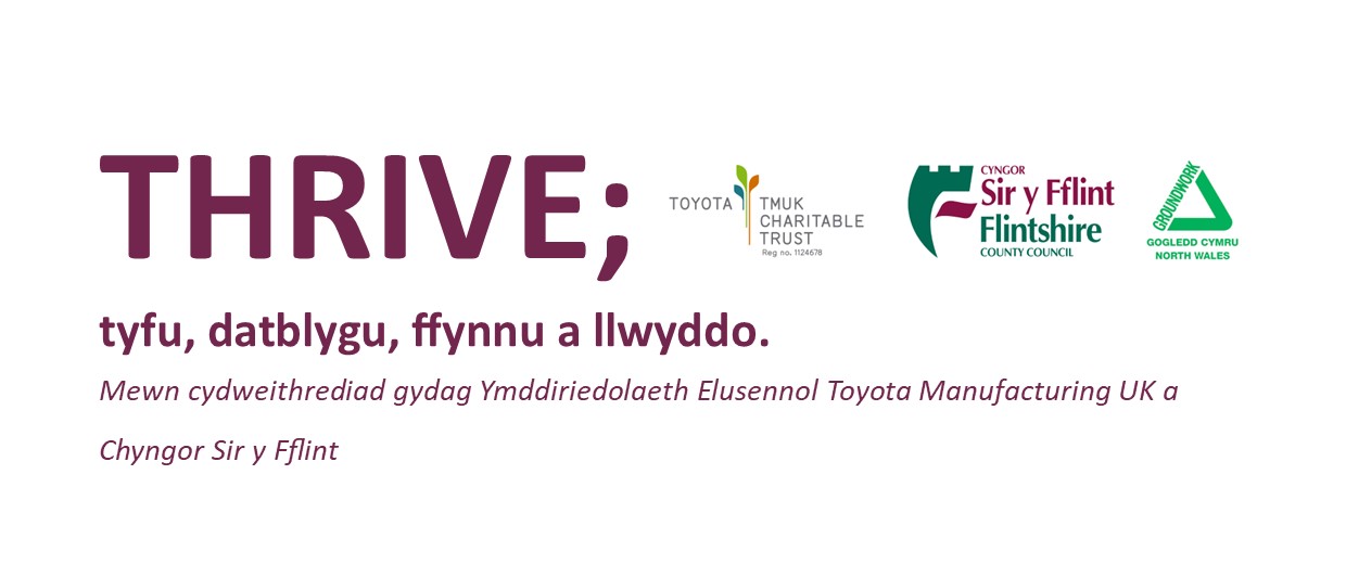 Thrive; tyfu, datblygu, ffynnu a llwyddo