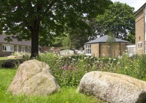 Attractive housing estate garden with Sustainable Urban Drainage features.