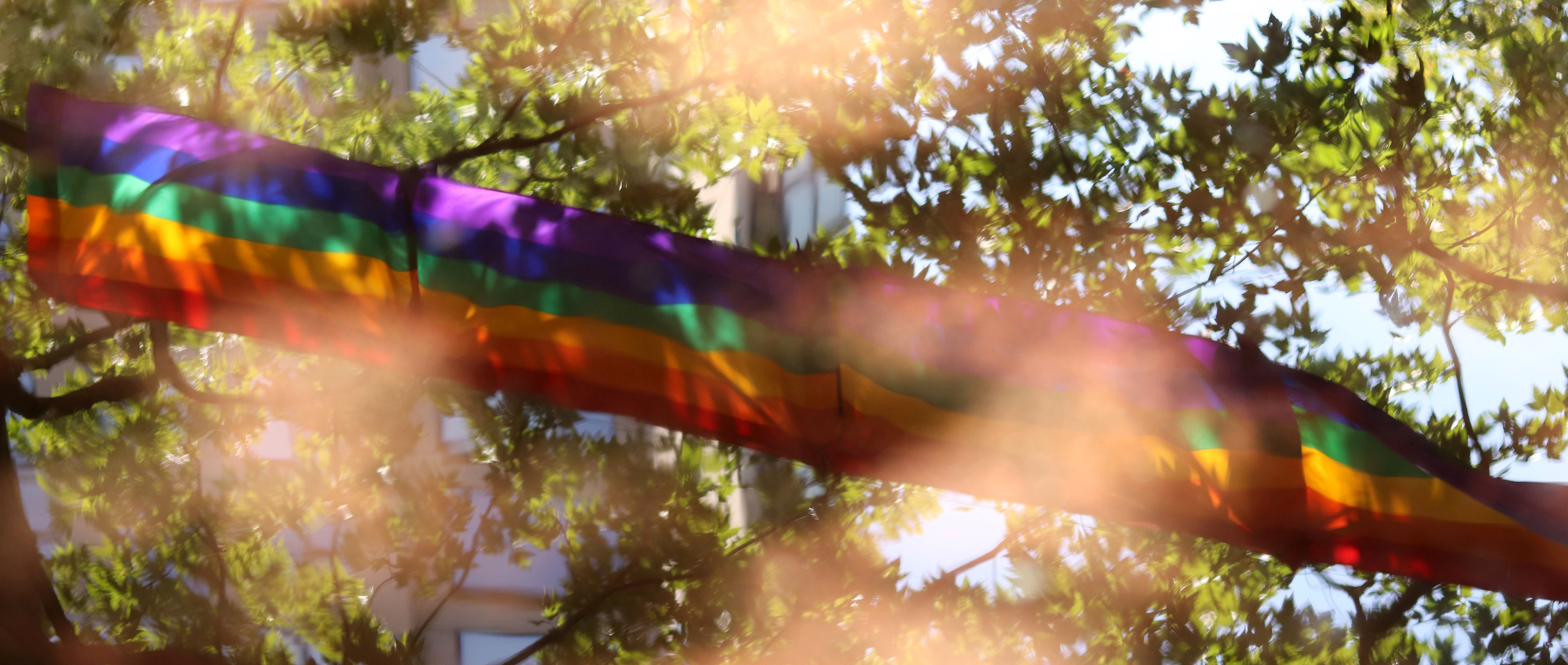 Our Pride Stories