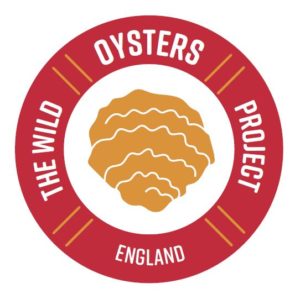 Wild Oysters England