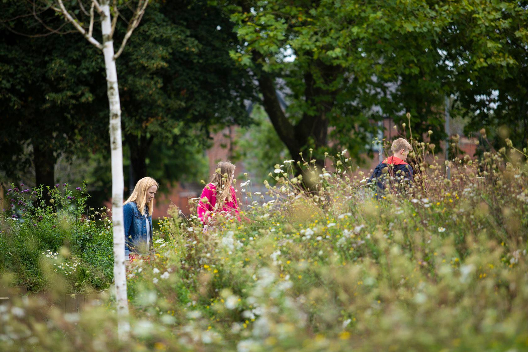 Green space west gorton