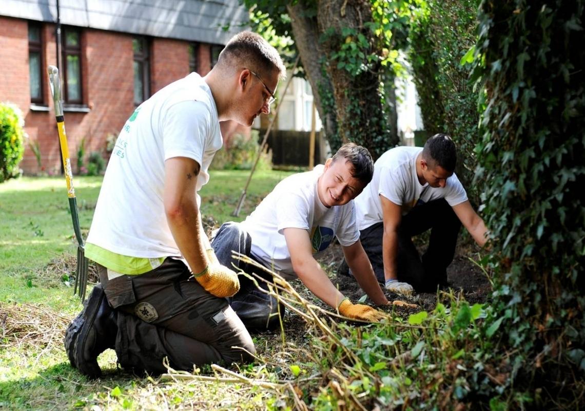 Low Carbon Careers
