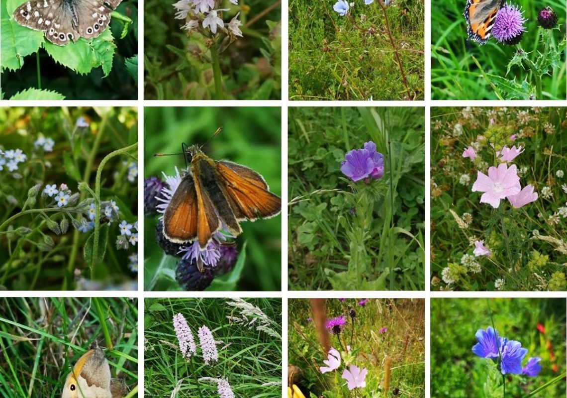 How to build a bug hotel