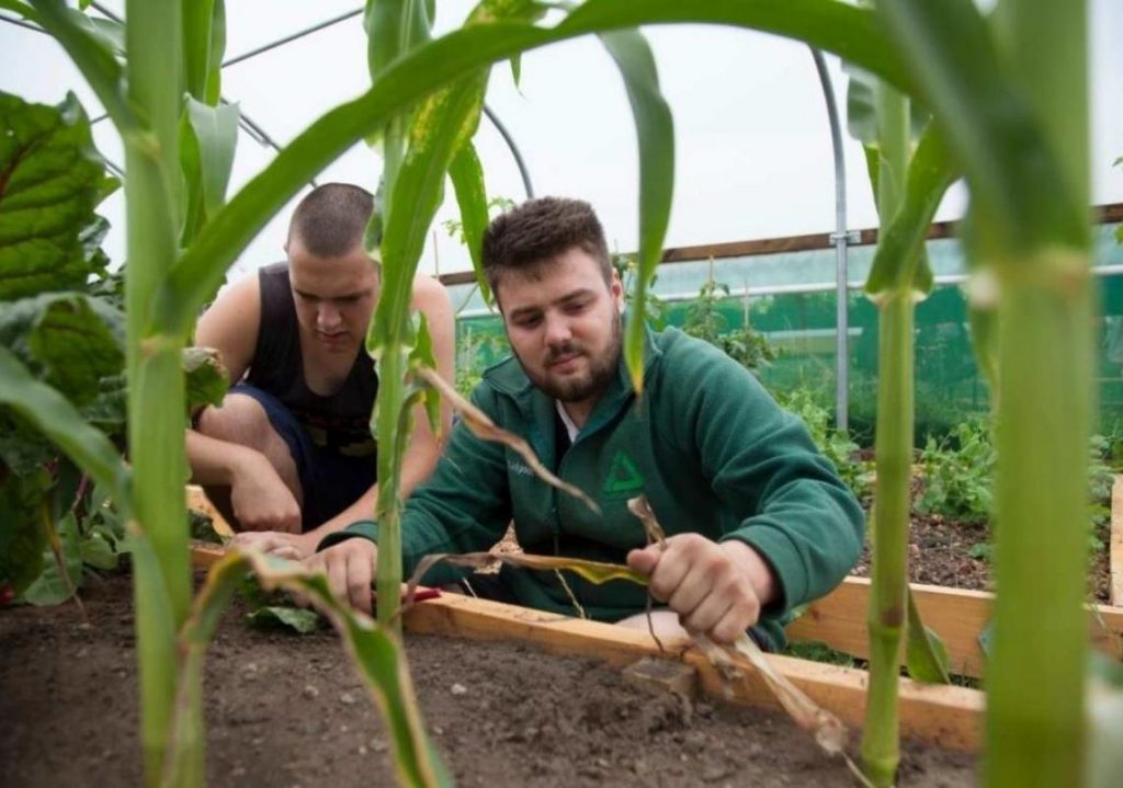 Natural Neighbourhoods - two men gardening