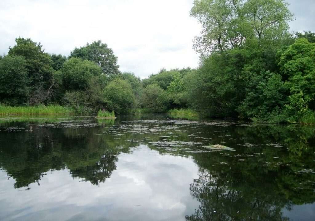 Boarshaw Clough, Middleton