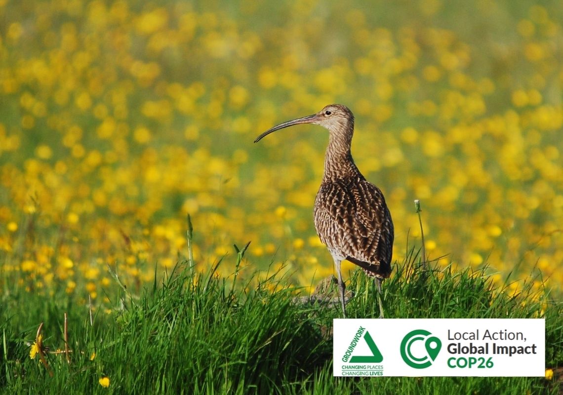 Tyne Estuary Partnership, Environment