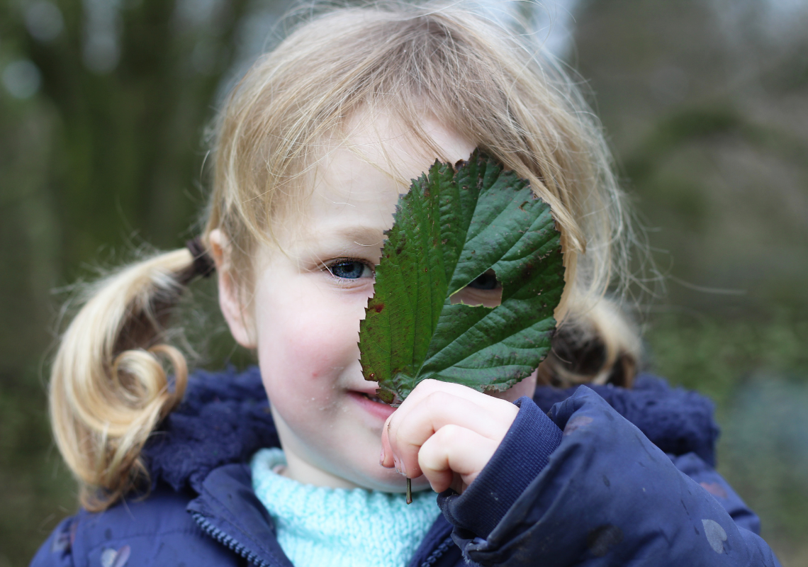 BLOG: Tackling air pollution near schools