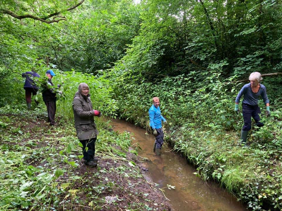 Volunteers at work on riverbank