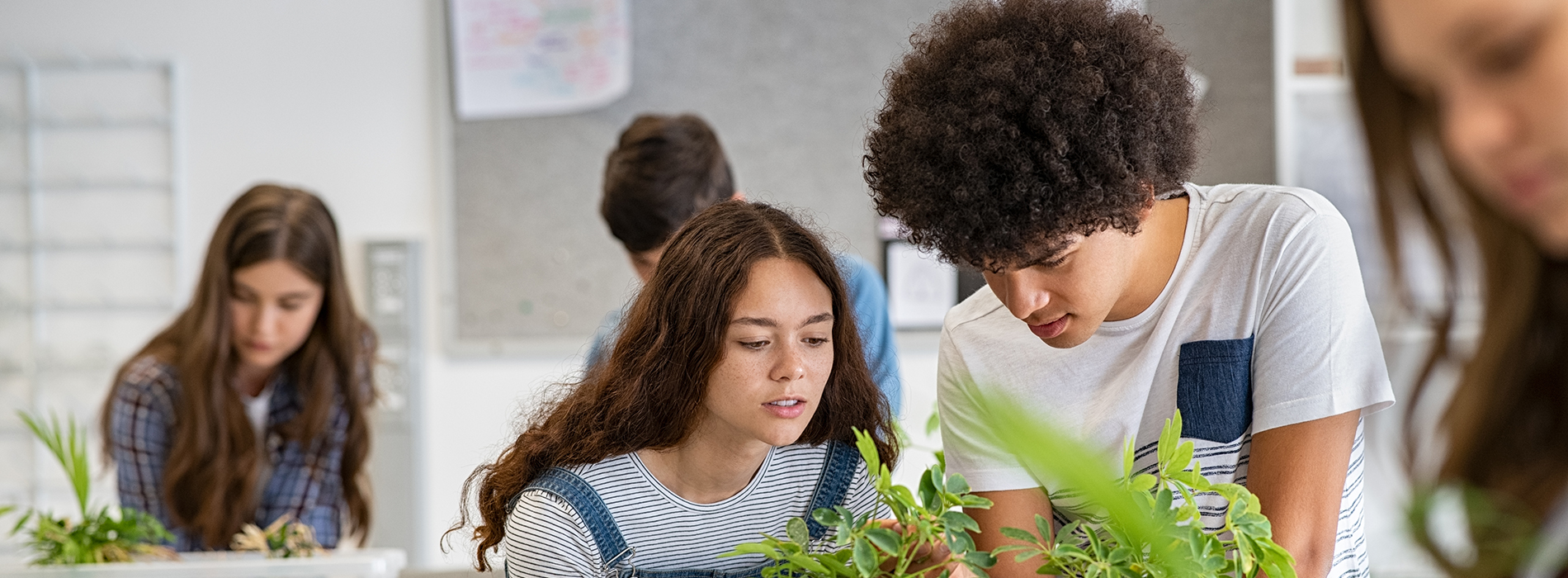 London Schools' Climate Kick-Start