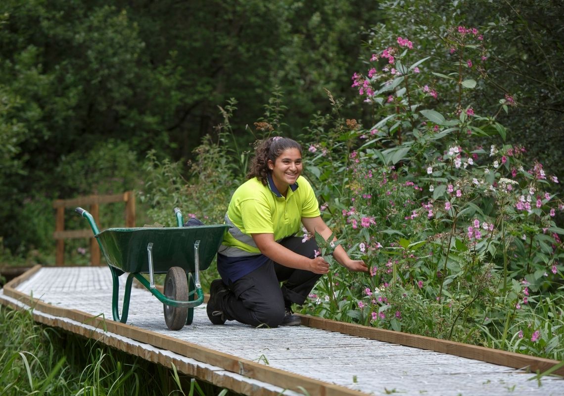 NEWS: Research indicates Government is holding local areas back in quest for net zero