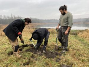 tree planting