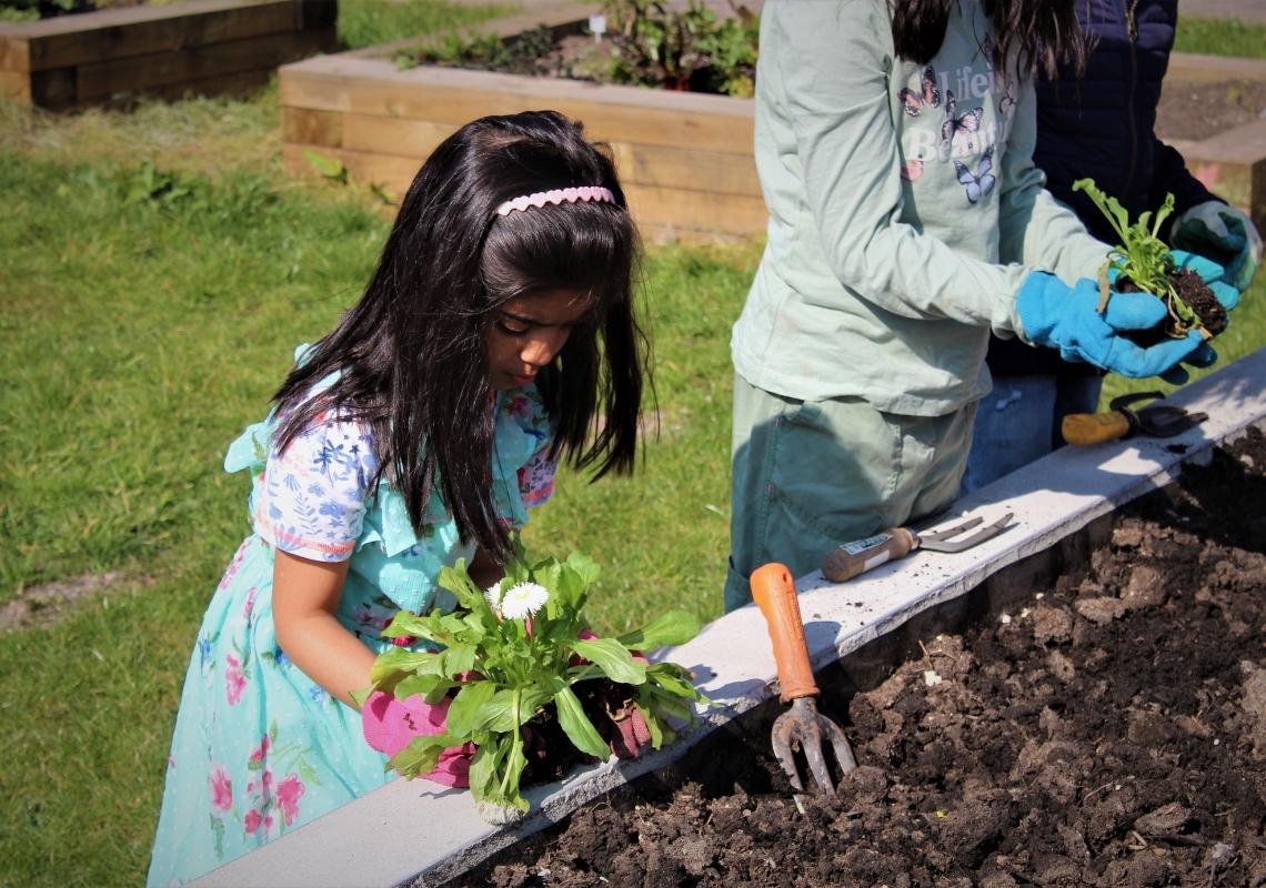 Young people planting at Pitt Street Park