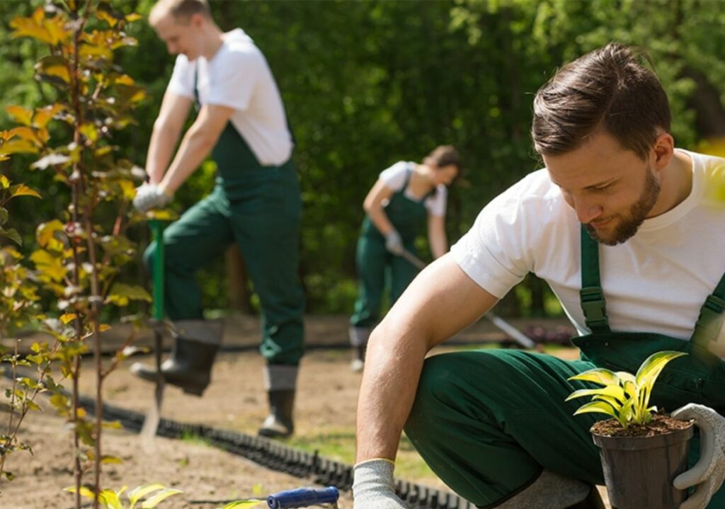 A group of people gardening