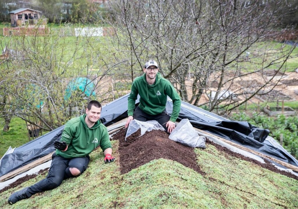 Two people installing a green roof 